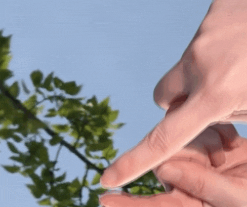 Unbreakable Strength